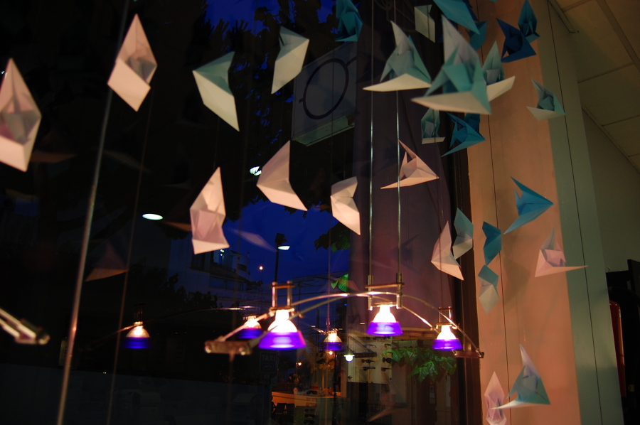 Escaparate Óptica St. Pol