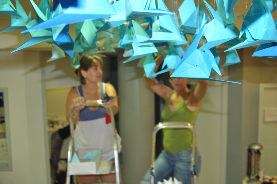 Escaparate Óptica St. Pol