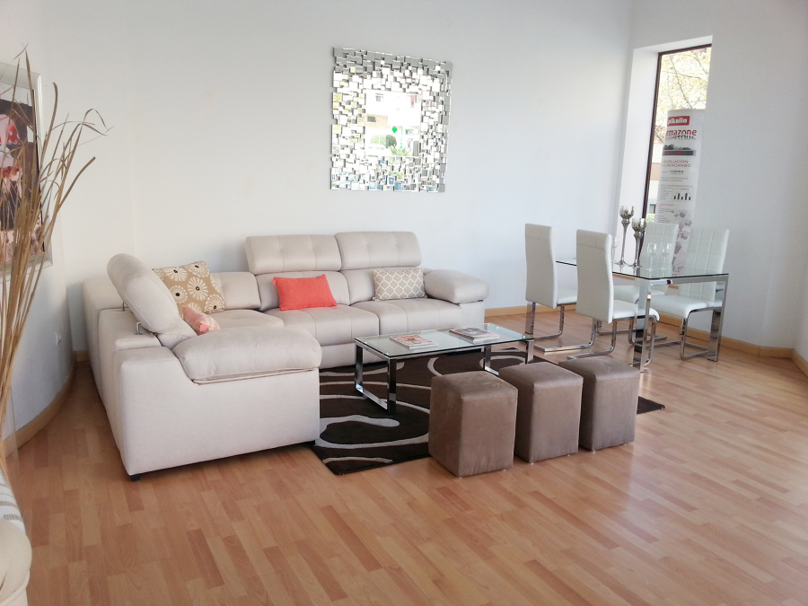 Escaparate Principal 1