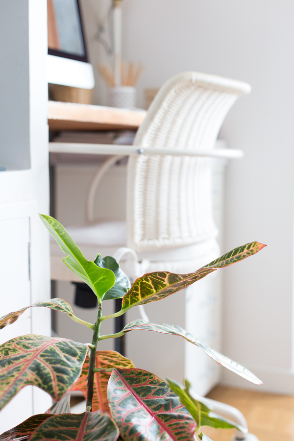 Espacio de trabajo a medida