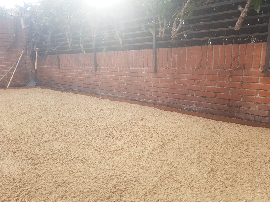 Esparcimiento de arena