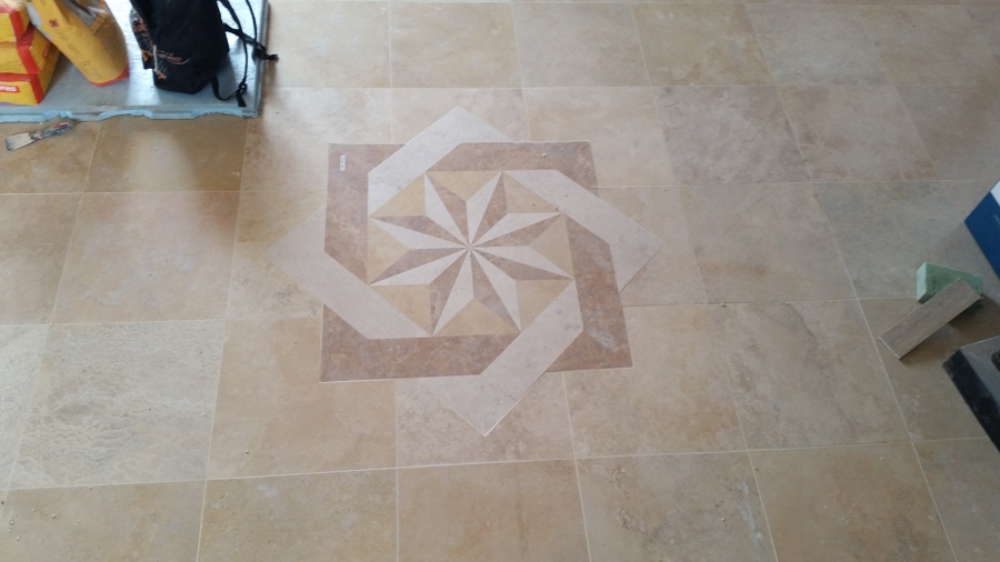 especies en suelos de piedra