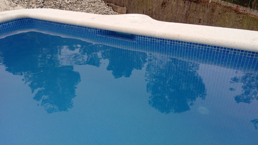 Espejo de agua y skimmer central.