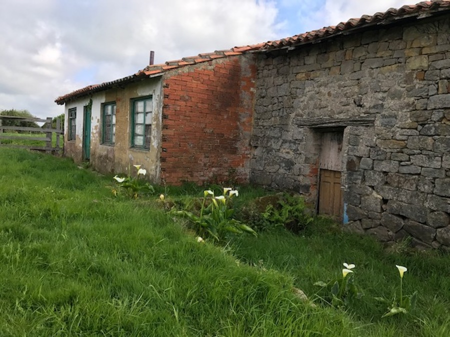 ESTADO ANTES DE RESTAURACION