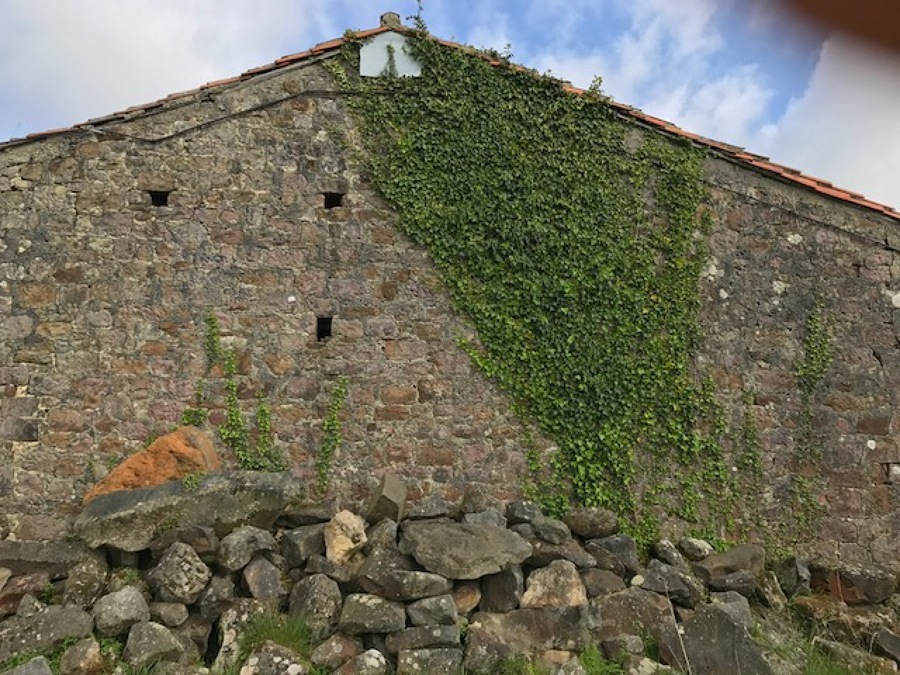 ESTADO ANTES DE RESTAURACION