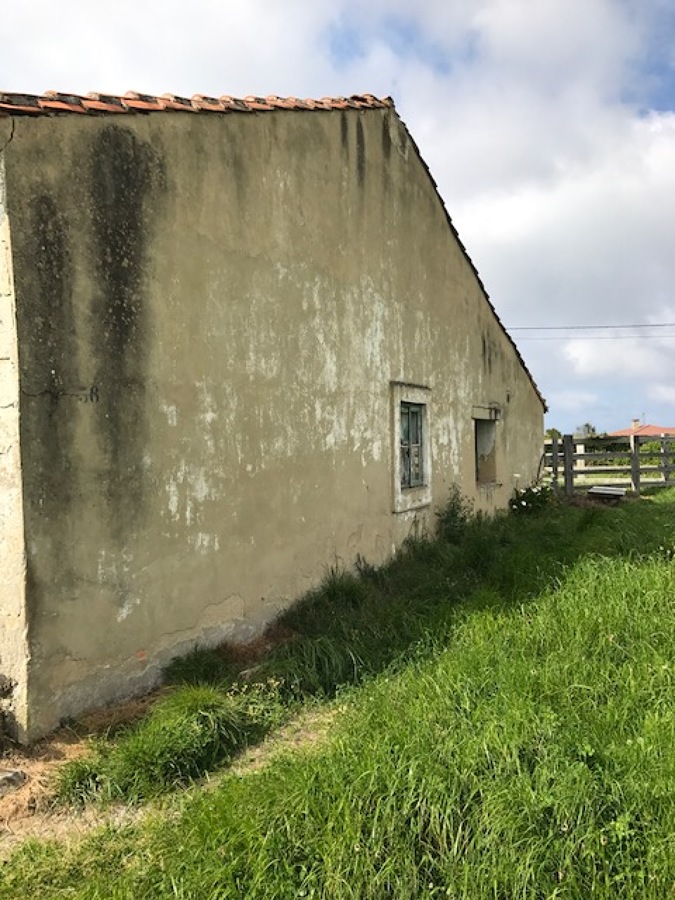 ESTADO ANTES DE RESTAURACION