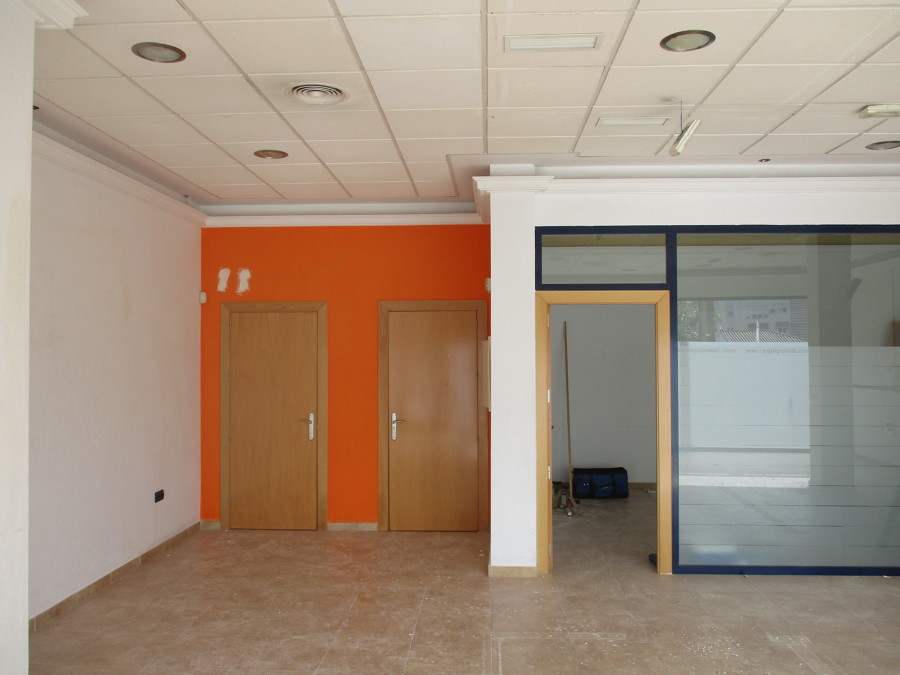 Estado de los paramentos y del falso techo de placas de escayola.