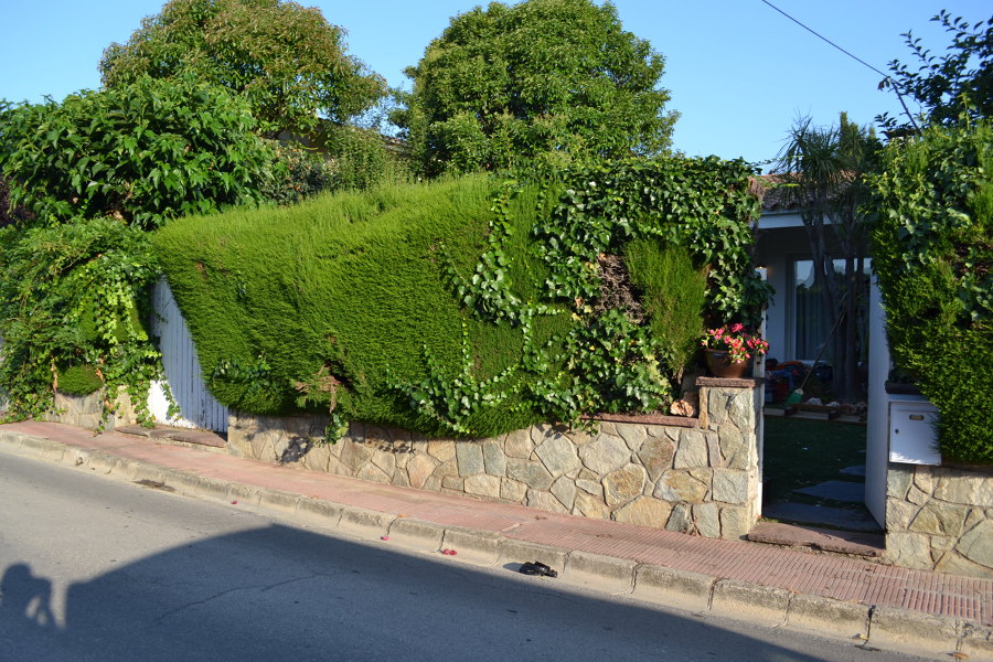 Estado inicial de la entrada