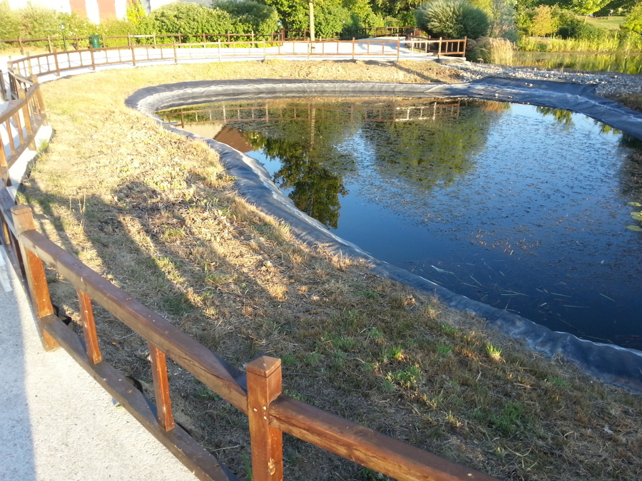 Estado inicial de la obra