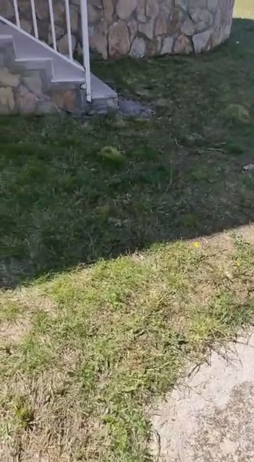 Estado inicial entrada