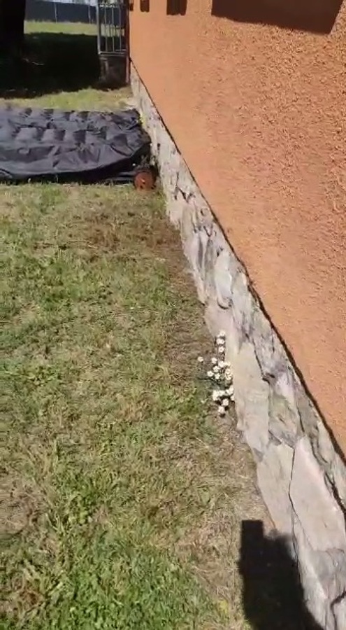 Estado inicial perímetro vivienda