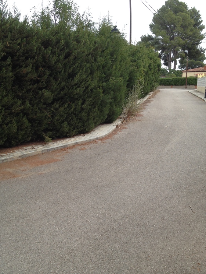 Estado parcela antes del trabajo