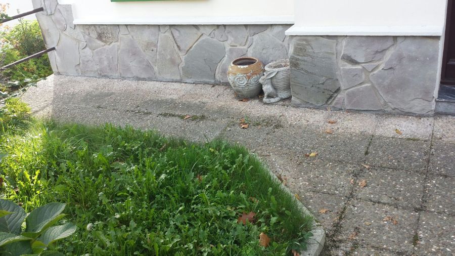 Estado previo de la entrada de la vivienda.