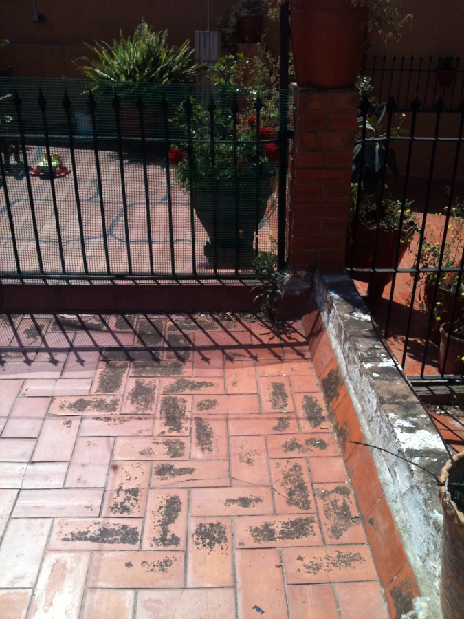 estaedo inicial terraza