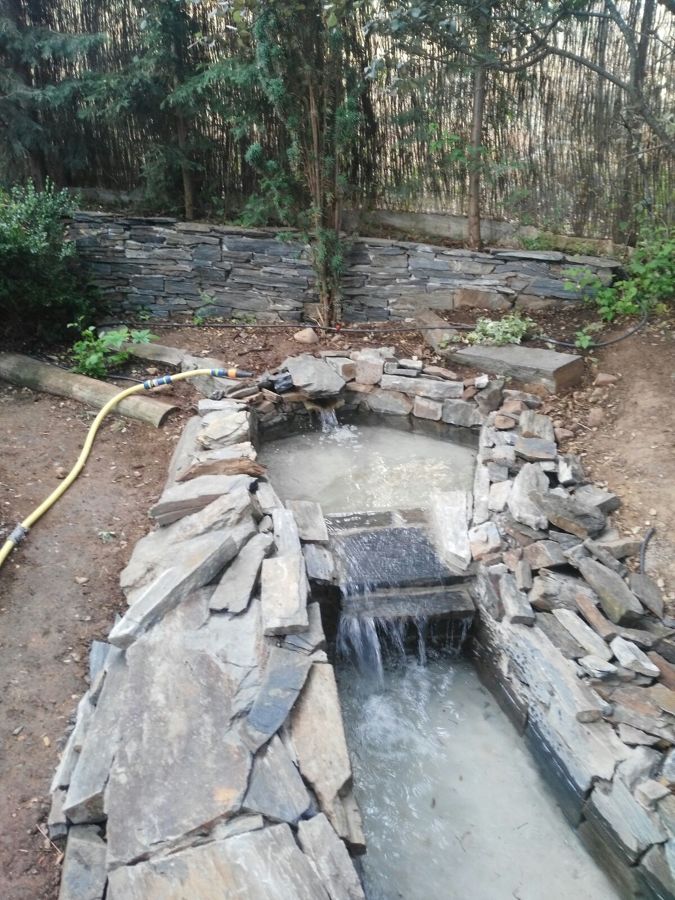 Estanque jardín 