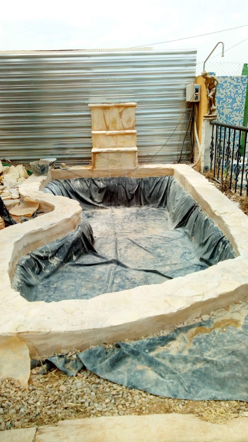 Estanque y fuente preciosos