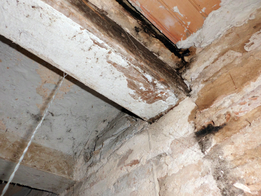 Estructura horizontal