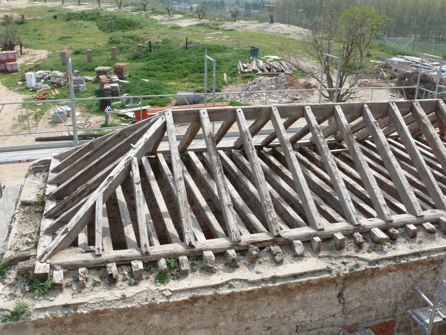 estructura primitiva 5