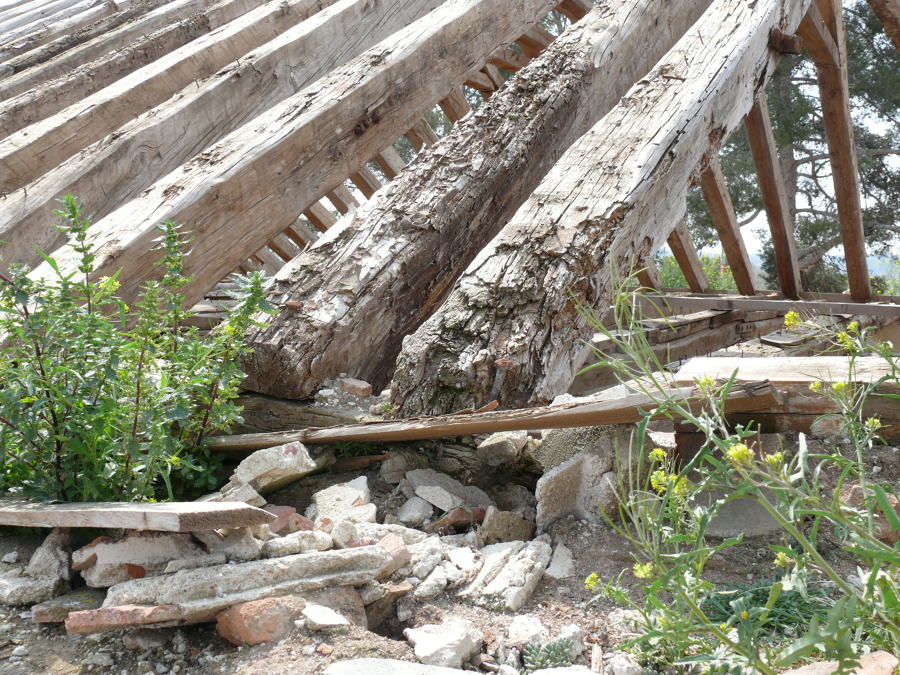 estructura primitiva 6