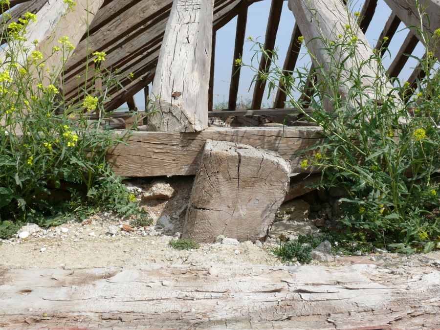 estructura primitiva 7