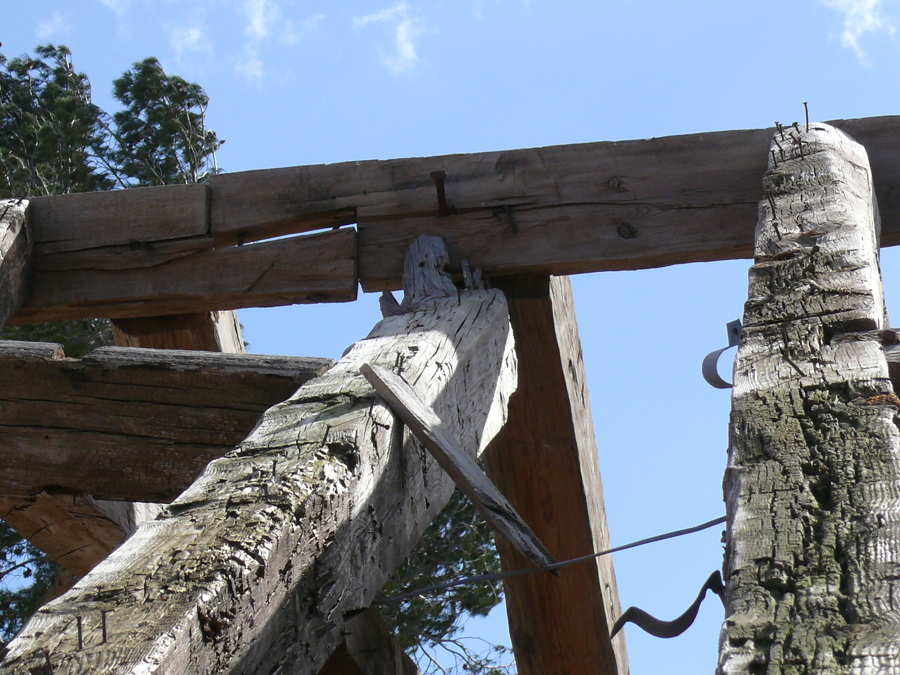 estructura primitiva 8