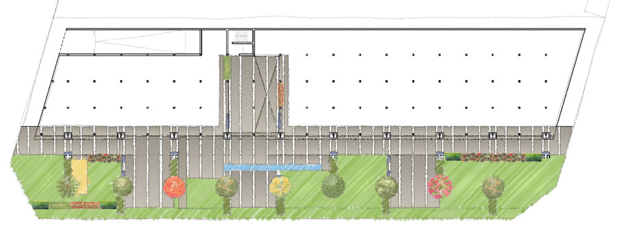 Estudio de una manzana