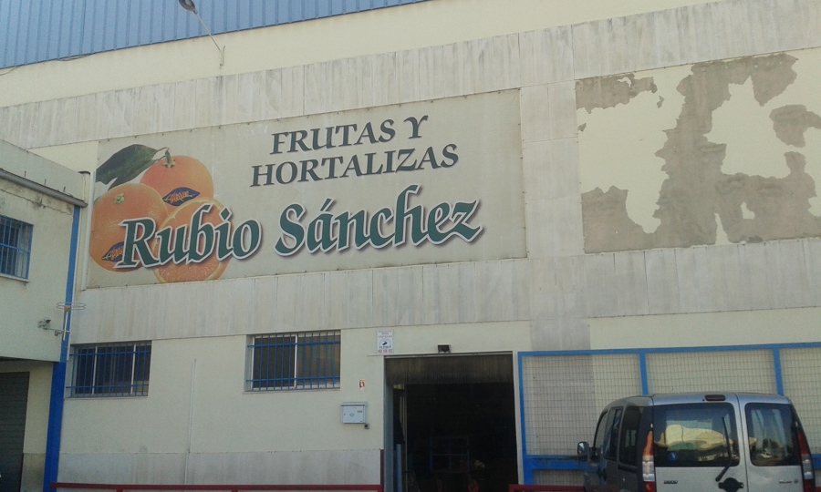 Fachada delantera en lamentable estado