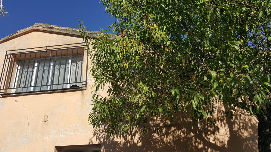 Fachada Lateral (Estado Actual)