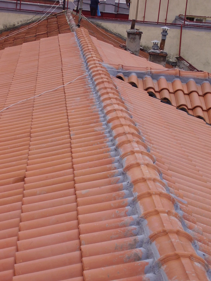 FALDÓN TEJADO Y CUMBRERA