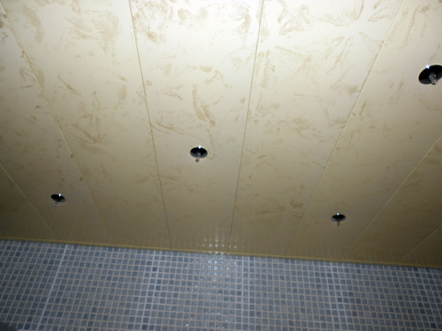 Falso techo baño
