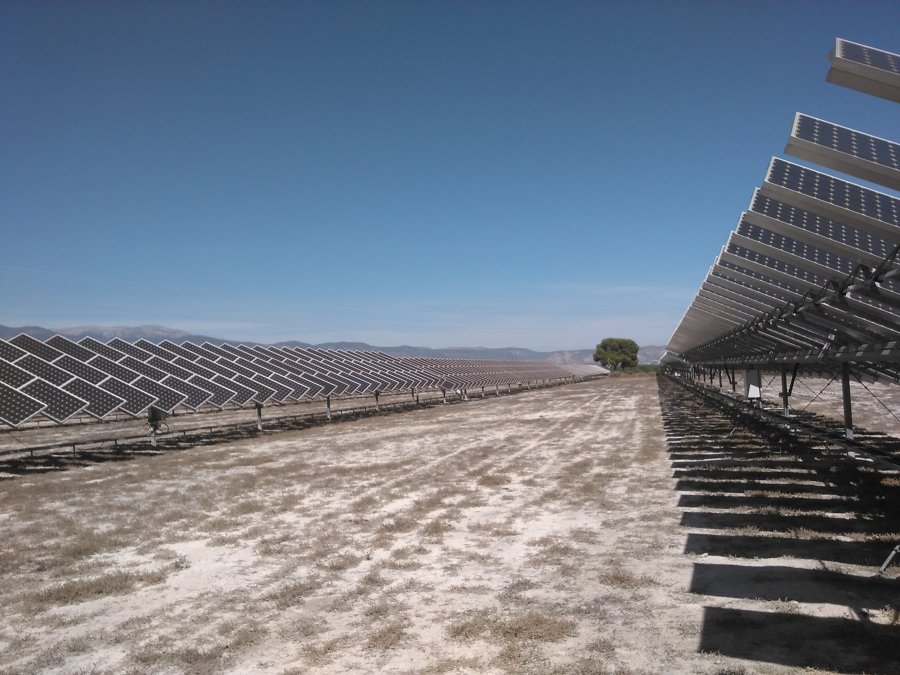 Fila entre placas sin desbrozar