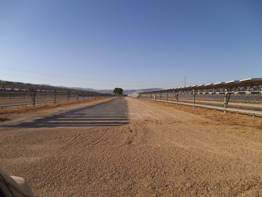 Fila entre placas ya desbrozada