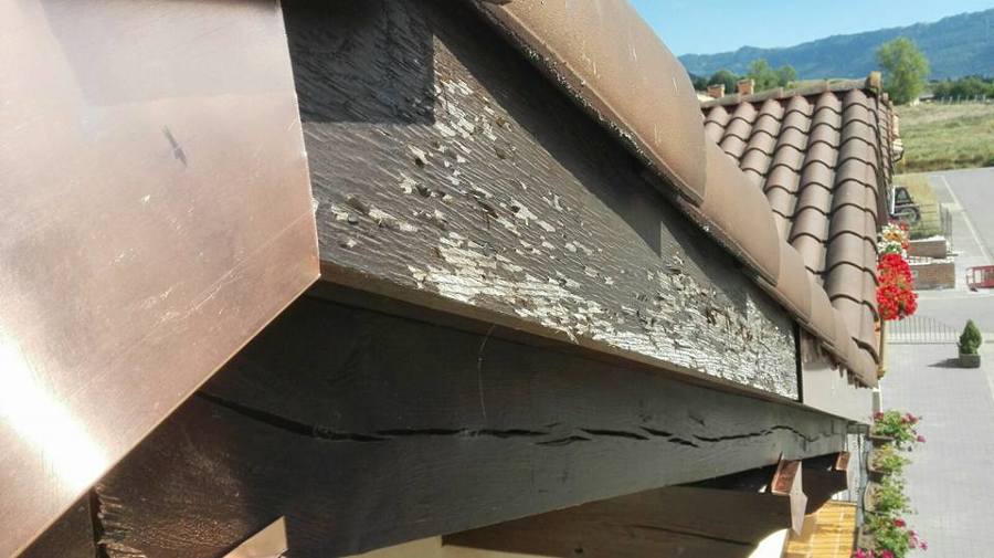 Filtraciones en fachada