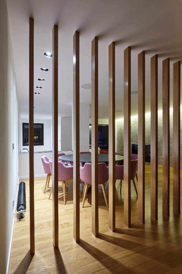 Filtro de luz que separa salón-comedor y distribuidor