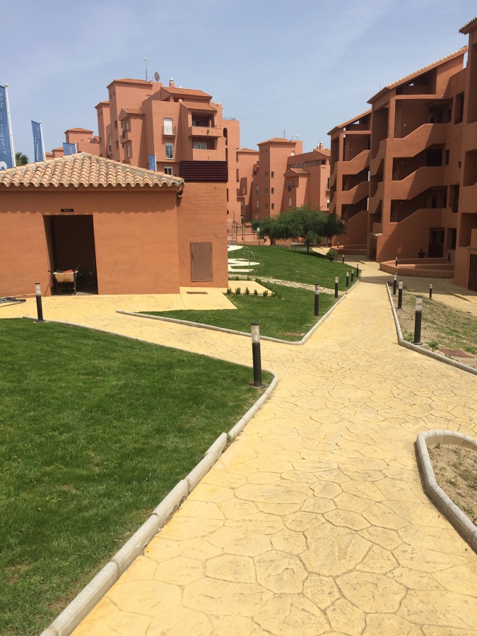 Final de siembra de cesped