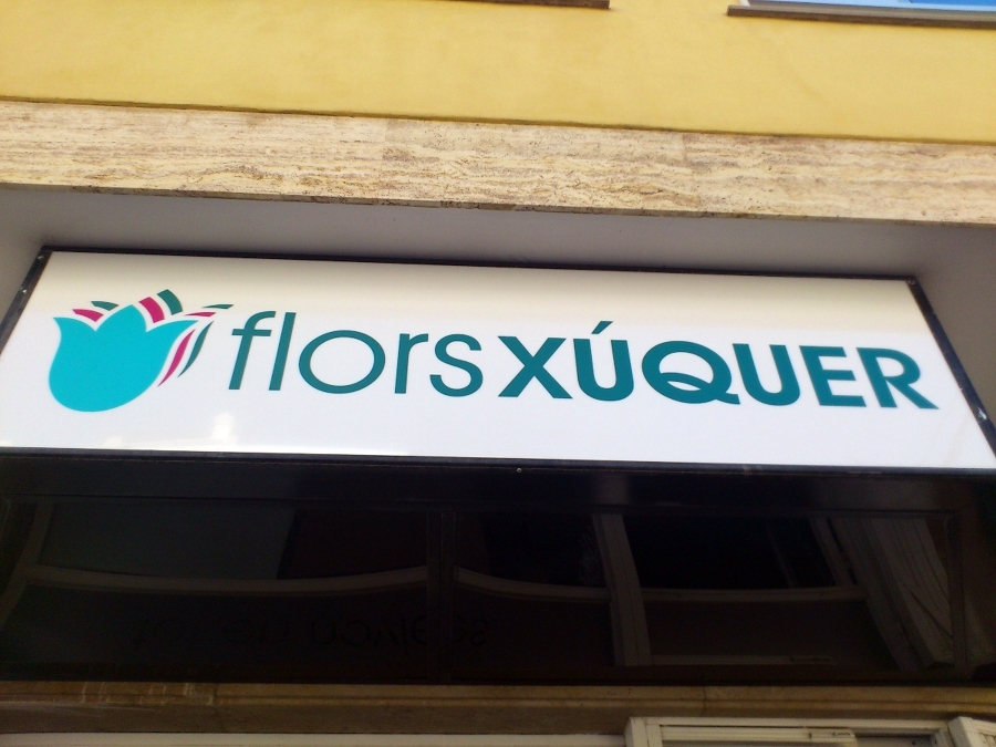 FLORS XÚQUER