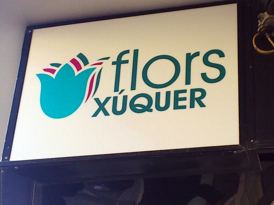 FLORS XÚQUER