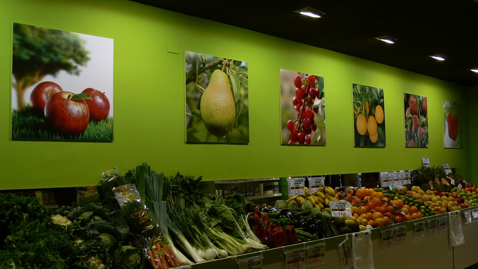 FOAM CON IMÁGENES DE ALTA CALIDAD