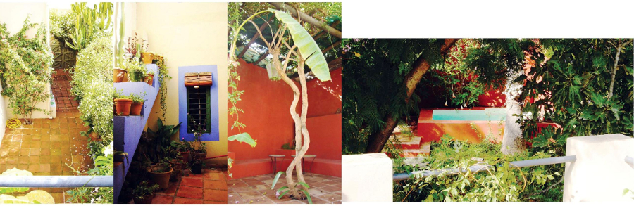 Fofografías del estado actual de la planta baja del exterior de la vivienda