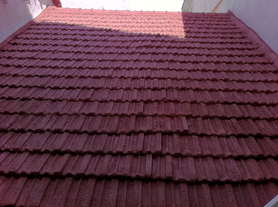 FOTOS APLICACION DE FRITERMOL