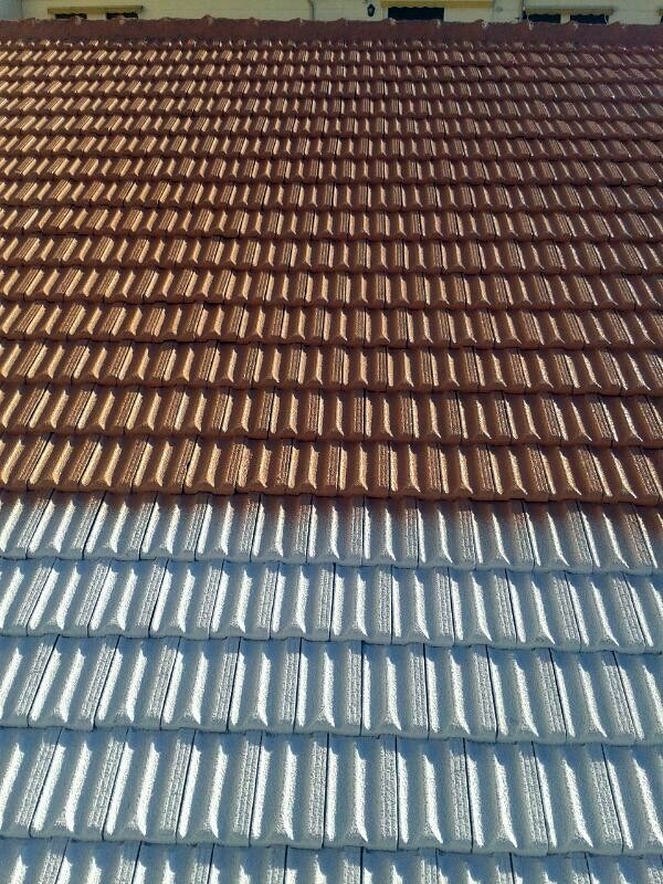 FOTOS APLICACION DE FRITERMOL