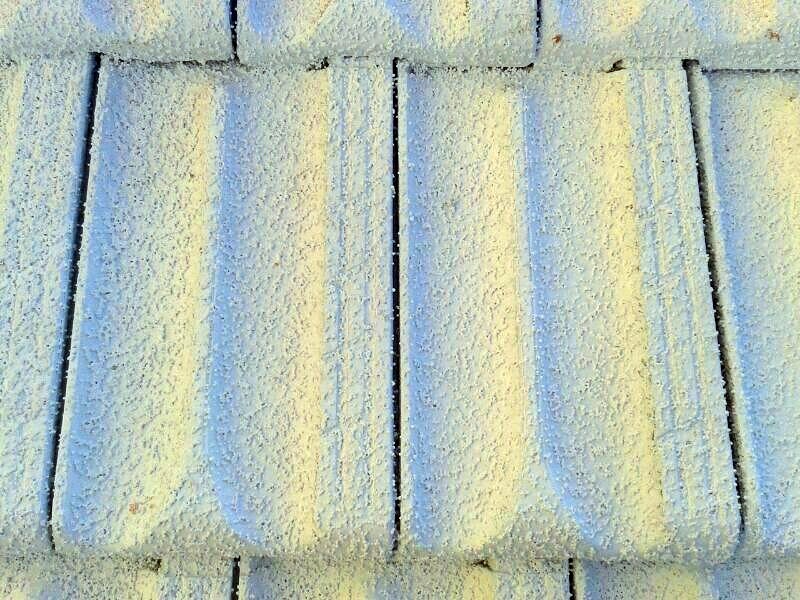 FOTOS APLICACION DE FRITERMOL