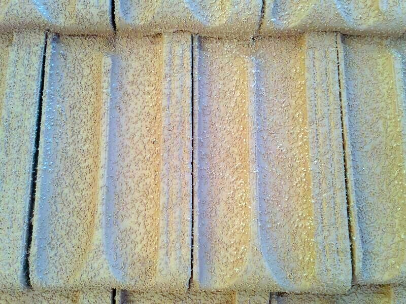 FOTOS APLICACION DE FRITERMOL