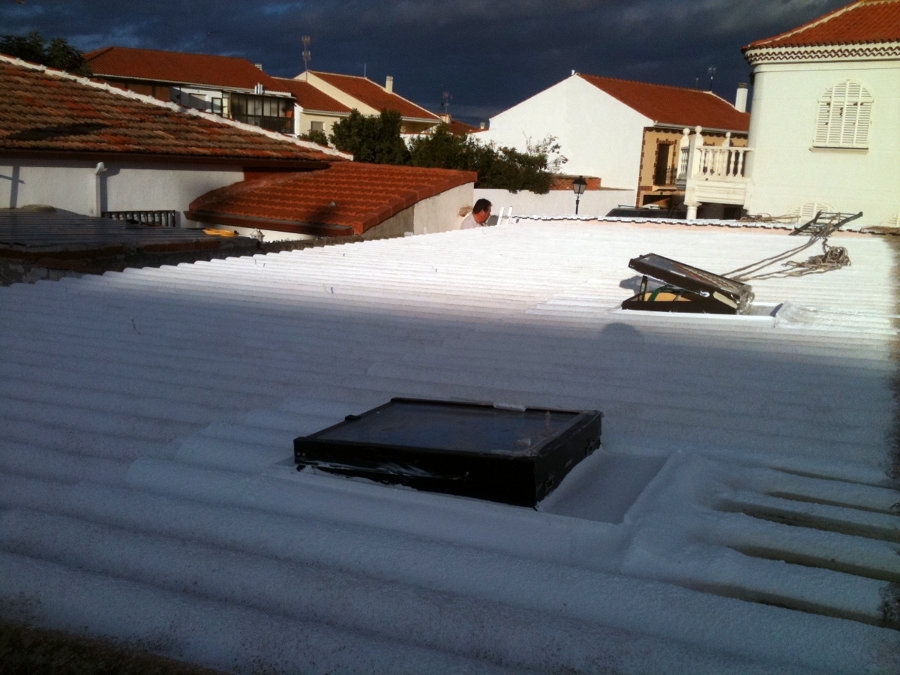 FOTOS APLICACION DE FRITERMOL