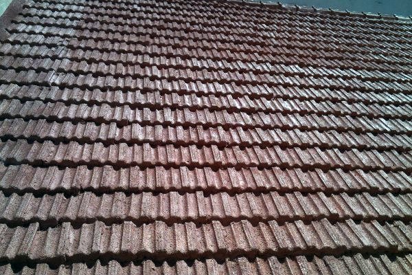 FOTOS APLICACION DE FRITERMOL