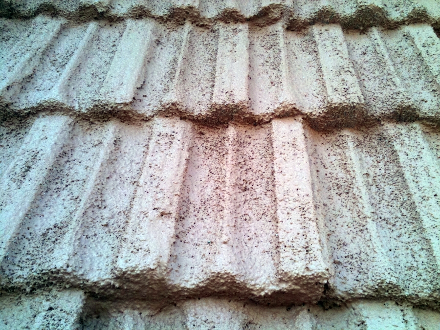 FOTOS APLICACION DE FRITERMOL