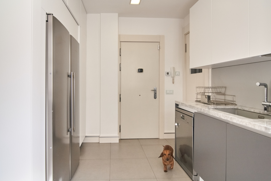 Fregadero y frigorífico