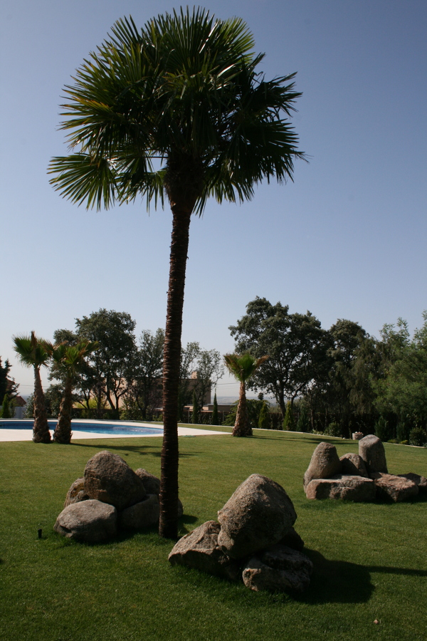 Fresh Garden Jardinería Torrelodones