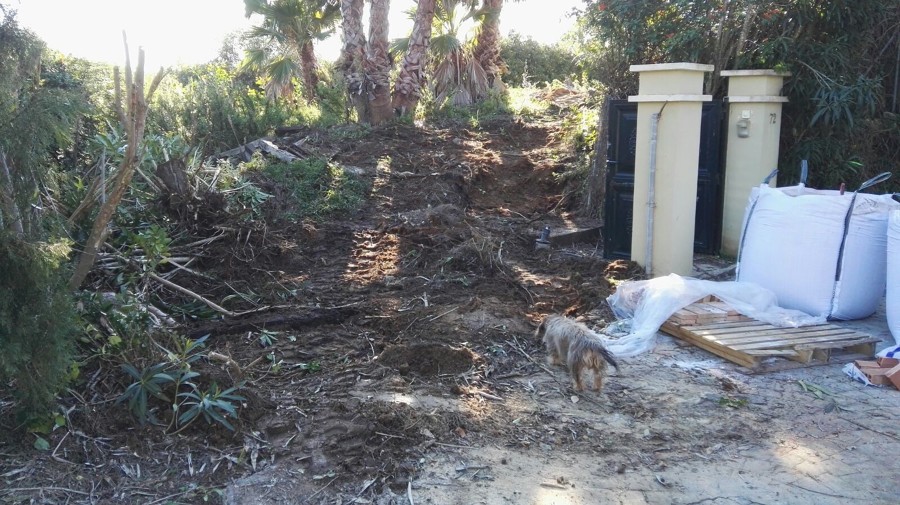 Futuro camino de piedra