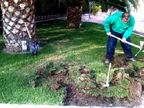 GAMA GARDEN LINE - NATURE